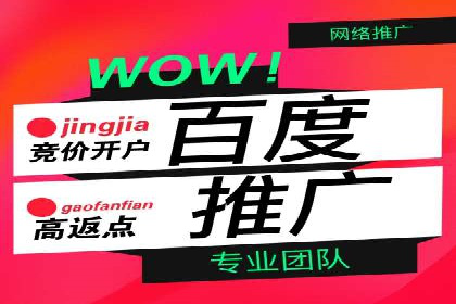 百度推广代理的运营模式与成功案例分析